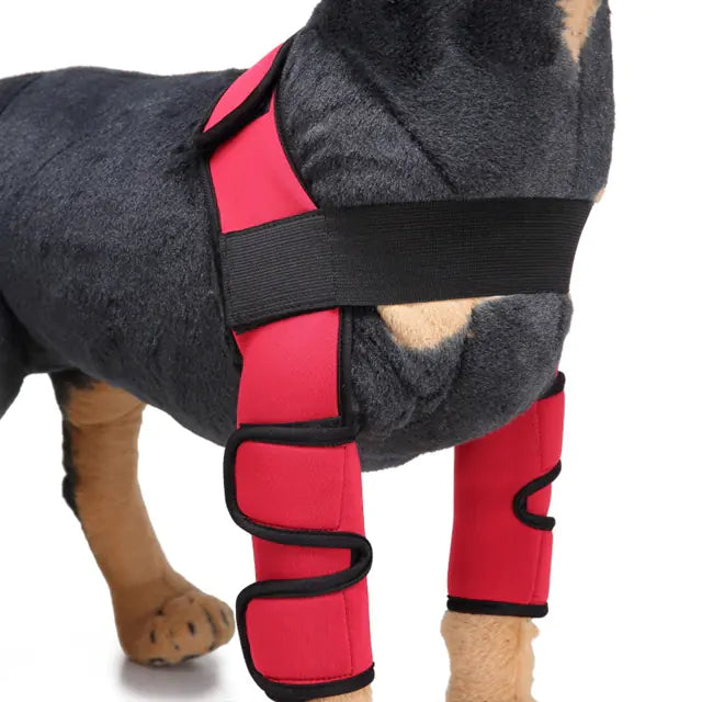 Dog Knee Brace and Leg Protector for Injury Recovery